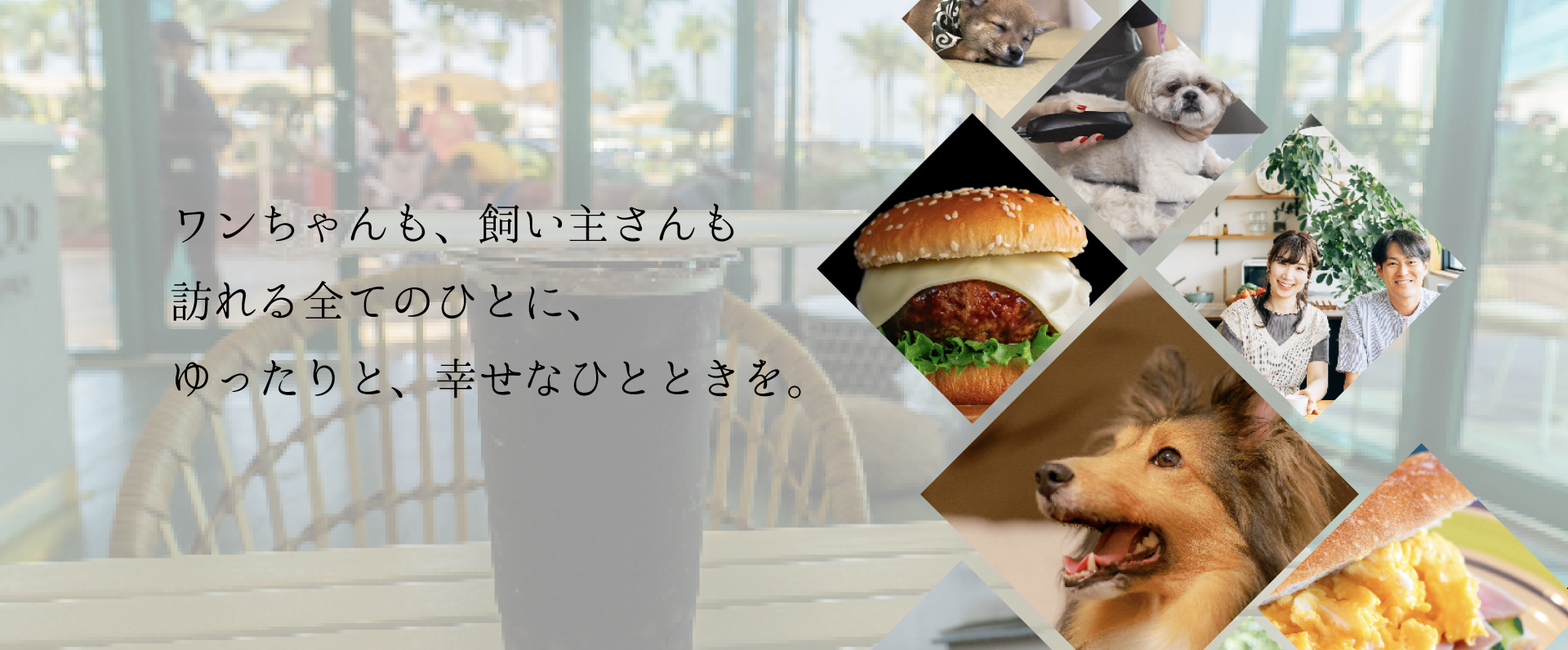 トップページのスライドショー